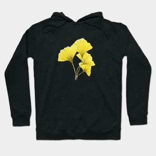 Ginkgo Biloba yellow leaves Hoodie